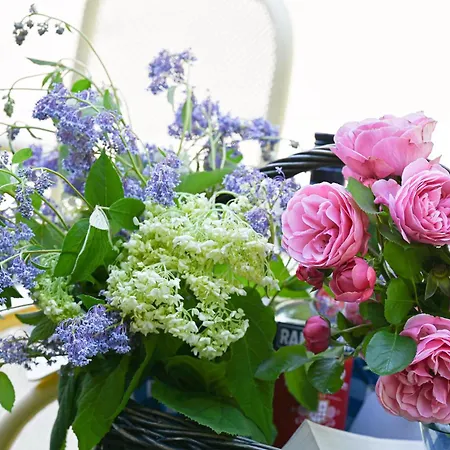 Entdeckerferien Am Bodensee Lejlighed