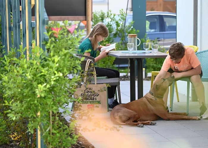 Entdeckerferien Am Bodensee Daire Friedrichshafen