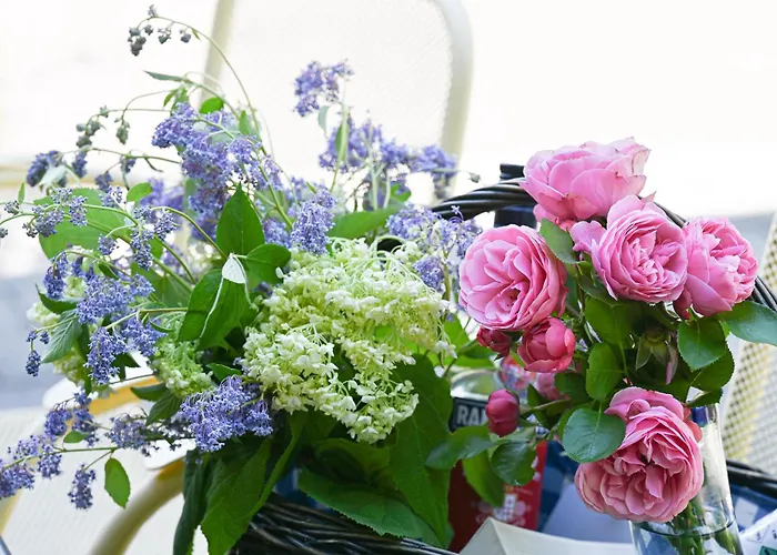 Entdeckerferien Am Bodensee Daire