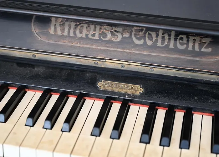 Entdeckerferien Am Bodensee *