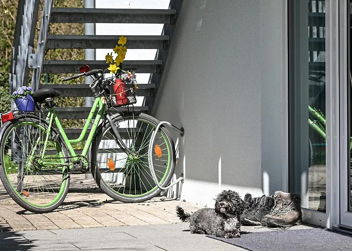 Daire Entdeckerferien Am Bodensee